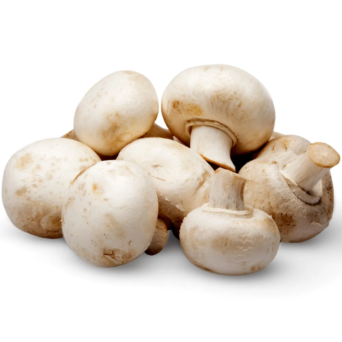 Champiñones
